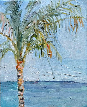 Shell Beach (2024)